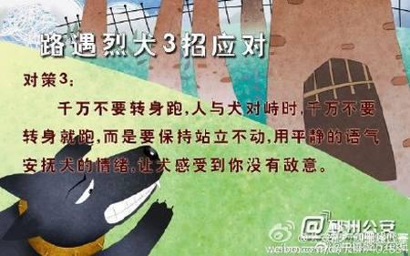 由来在线观看,追溯“由来在线观看”的起源与发展历程